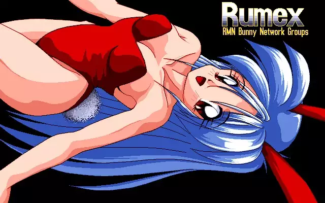 Sailor Bunny Gashuu Sono Ichi