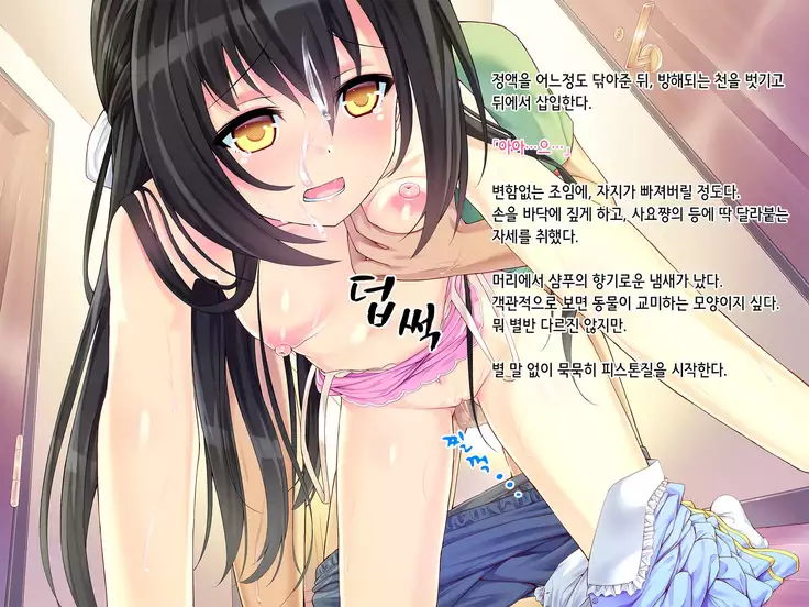 Itoko-chan, Irasshai