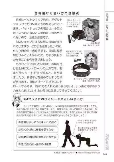 いますぐデキる 図説SMプレイマニュアル