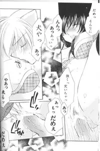 (C67) [Sakurakan (Seriou Sakura)] Lovers (InuYasha)