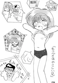 (C49) [LOLIC SYSTEM] PETANSHIP