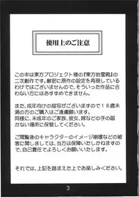 (C78) [Rapid Rabbit (Tomotsuka Haruomi)] Byoujo no Sho (Touhou Project) [English] [CGRascal]