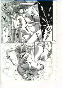 [Appleton] Fairy Paradise