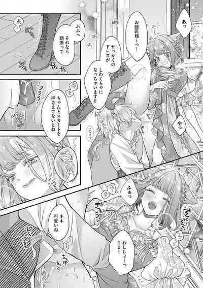 Nene to Ikoku no Mahoutsukai Isekai ni Shoukan Sareta to Omottara, Naze ka Koneko to shite Aigan Saretemasu 1-5