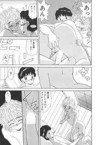 [Akifuji Satoshi] Four Seasons