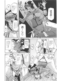 [Sanbun Kyoden] Fuyu no Ajisai