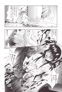 [Studio BIG-X (Arino Hiroshi)] Shadow Canvas 12 (Angelic Layer, Chobits)