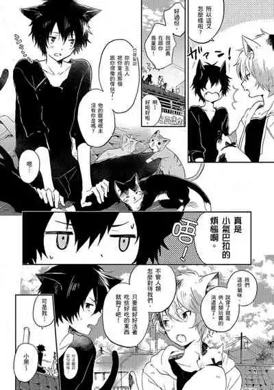 Kiss Shite Yowamushi-kun! | 吻我啊，胆小鬼!