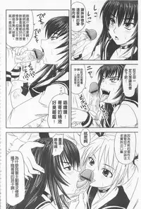 [Nozarashi Satoru] Do S na Hime wa Kegasareru -Inga no Shou- | 超S的公主被玷汙了 ～因果之章～ [Chinese]