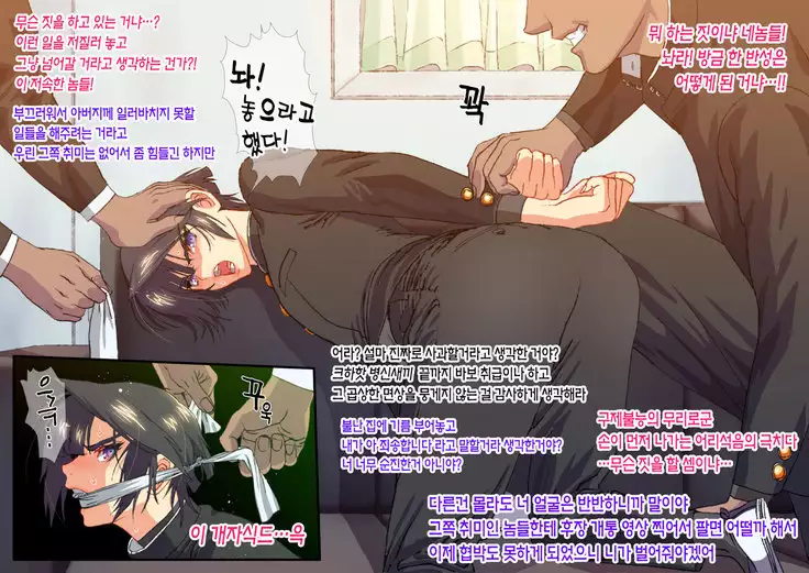 Shisei Kaiki ~Dansou Yuutousei Mesubuta Choukyou~