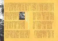 [Nishieda] Dendrobium