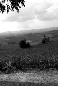 (Shota Scratch 18)[Mabataki Mosezu (Urotsuki)] Hougen Danshi Anthology