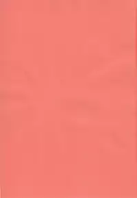 (C94) [Ranshi to Kimi to. (santa)] Mahou Shoujo Saimin PakopaCause 2.5 Nekketsu Shidou Hen (Fate/Grand Order) [Chinese] [無毒漢化組]