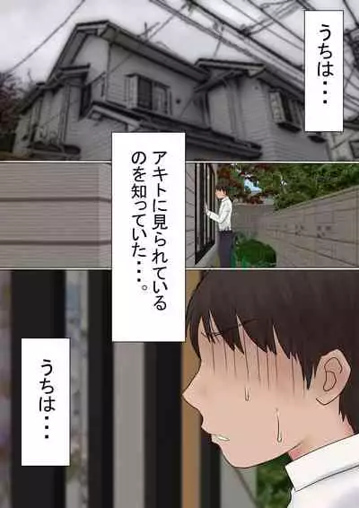 Ore no Hatsukoi Osananajimi ga, Otoko Tomodachi no SeFri datta Ken NTR Fuumi