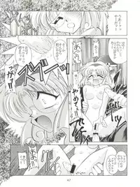 (C48) [豺狼出版 (J・さいろー)] 燕雀 Volume 1 (エルフ・１７、魔法騎士レイアース)