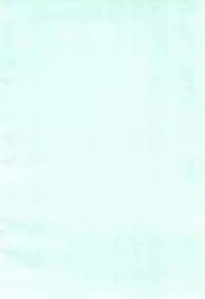 (Lyrical Magical 2) [SimpleClass (Shinozuki Kou)] Donmai. (Mahou Shoujo Lyrical Nanoha)