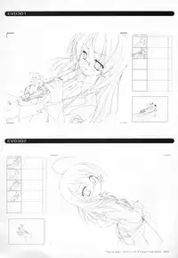 Bra-Ban Visual Fanbook