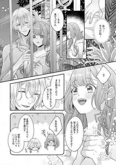 Nene to Ikoku no Mahoutsukai Isekai ni Shoukan Sareta to Omottara, Naze ka Koneko to shite Aigan Saretemasu 1-5