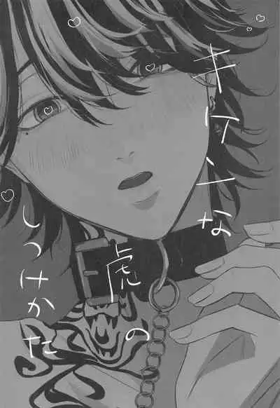 kikennatoranoshitsukekata