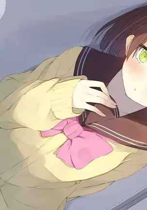 Ore no Kanojo ni wa Nekomimi ga Haeteiru