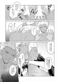 (SPARK11) [illuminator (Niu)] Nikaime no Kimochi. (Fate/stay night)