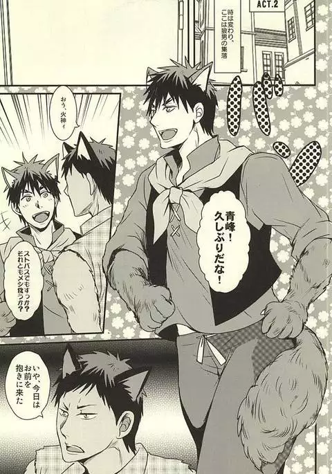 coyote,colored darkness