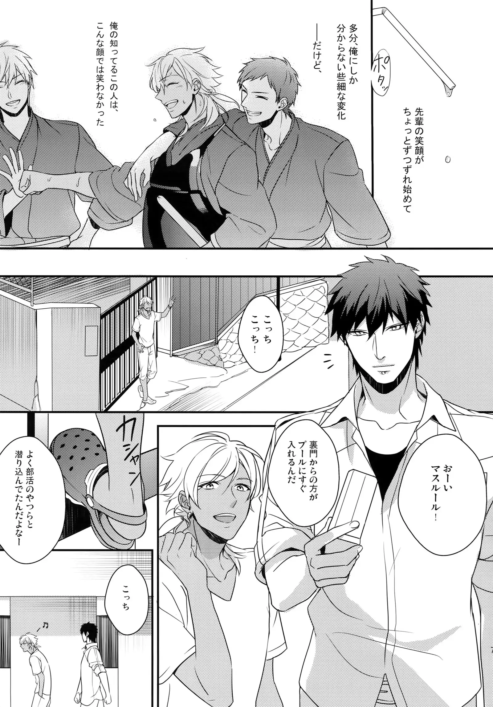 PureSlider. Sairoku 2011 - 2012