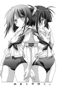 (C73) [Chuuni+OUT OF SIGHT (Kim Chii)] Kyoudai to Gakkou to.