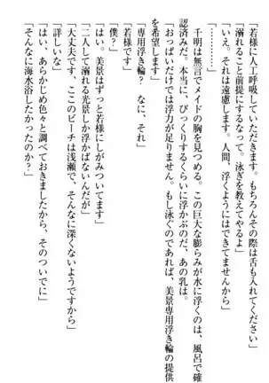年上メイドの新婚日記