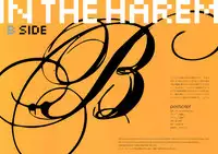 (C81) [Shoujo Kishidan (Oyari Ashito)] IN THE HAREM B SIDE (THE iDOLM@STER)