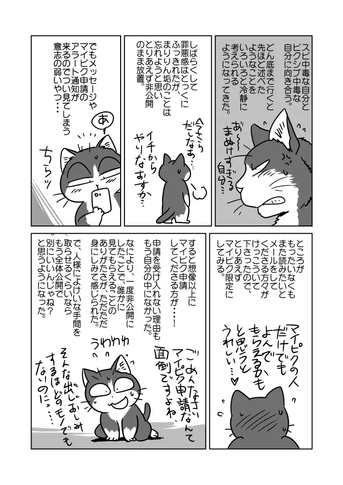 Miscellaneous about Pixiv