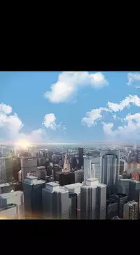 Switch1-29 Chinese Rsiky