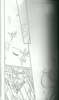 (C64) [CARNELIAN] BENIGYOKUZUI vol. 8