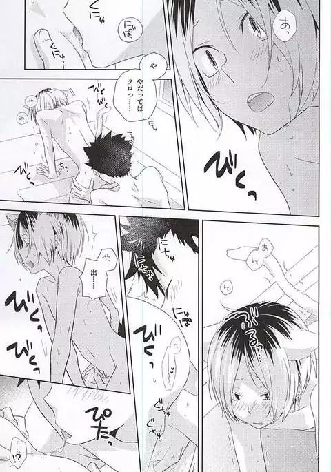 月イチ大感謝毛繕いデー