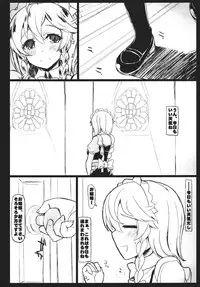 (C81) [Inst] SHADOWS IN BLOOM (Touhou Project)