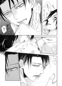 (C86) [RIX (Mamiya)] Kizutsui ta yoru ni (Shingeki no Kyojin)