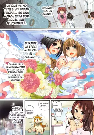 Juukan Kyoushitsu - ***** Class