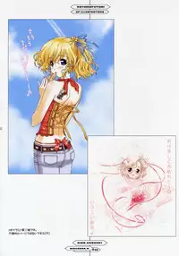 (C67) [Happy Paranoia, Shikkokuno J.P.S. (Wanashiro Giovanna, Hasumi Elan)] King Harvest (Various)