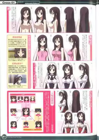 Cross Days Visual Fan Book