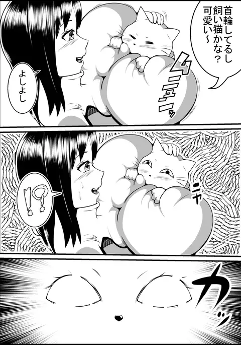 Kaineko ga Aruhi Bijo ni Nattara