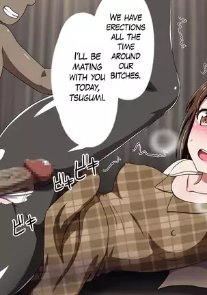 Kusogaki Island: Always New