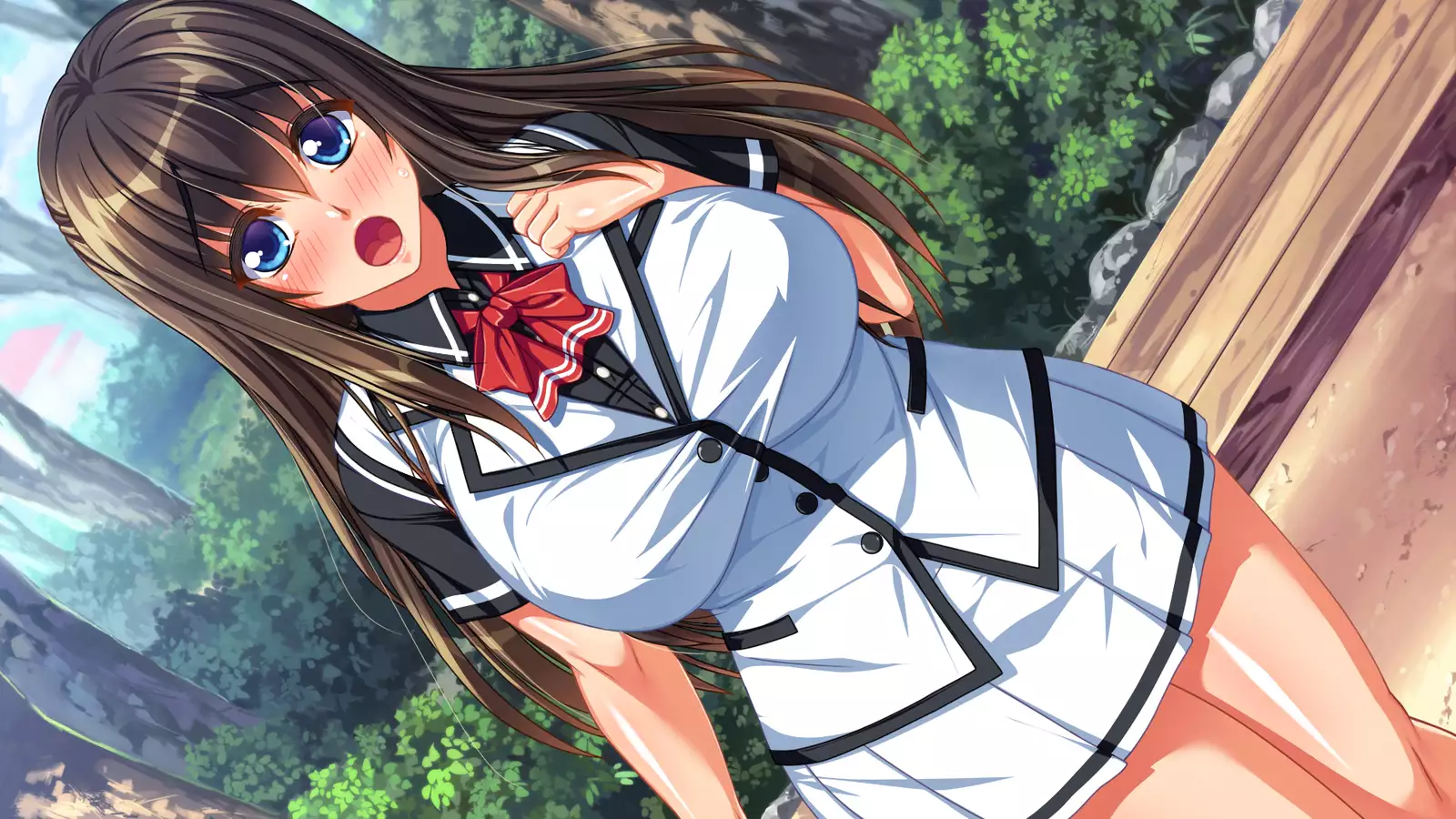 Kanzen ni Goui no AV Shima!