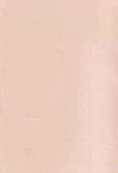 Official Alicesoft Full Completion Guide 2