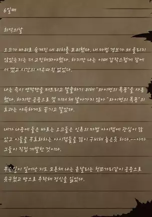 Sage Lavinia's Last Note ~ In the ruin of orc fort ~