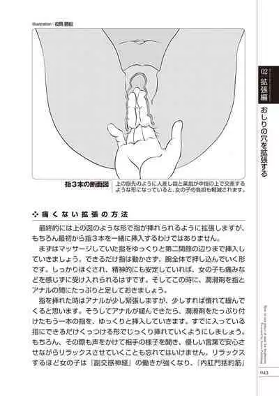 いますぐデキる 図説おしりエッチマニュアル