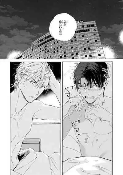 Ginmokusei no Shitateya