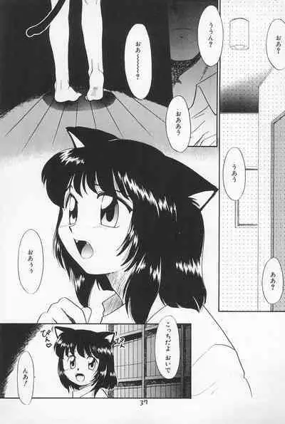 Daihinmin