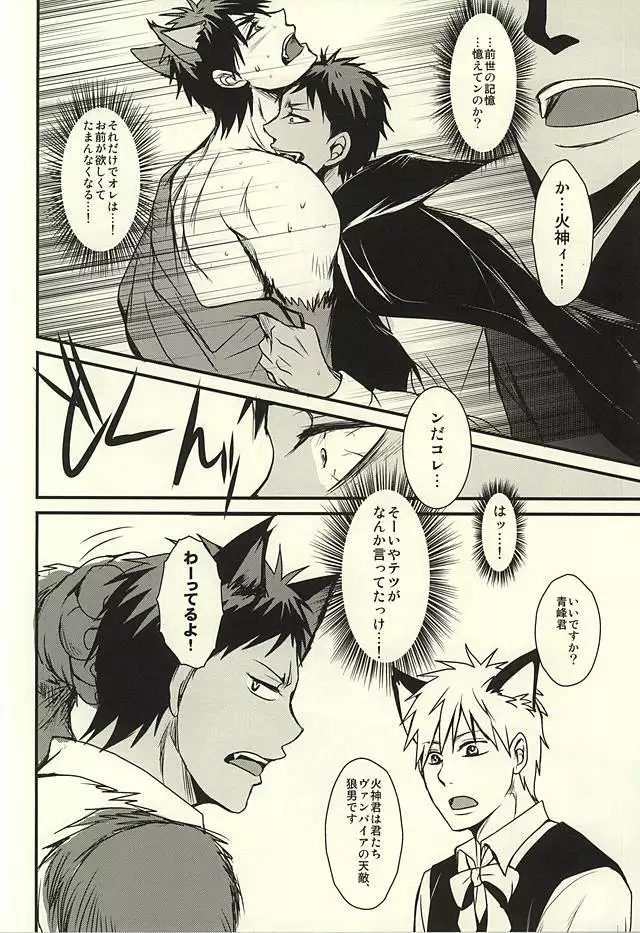 coyote,colored darkness