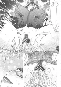 [From Japan] FYC R14Y (Various)