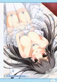 [Mint CUBE] Amakoi Syrups Visual Fan Book